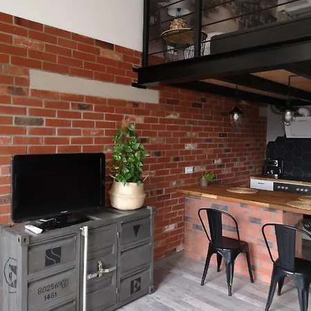 Apartment Loftstyle Zyrardow